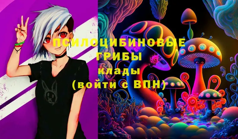 Галлюциногенные грибы Magic Shrooms  darknet какой сайт  ссылка на мегу рабочий сайт  Осташков  как найти наркотики 